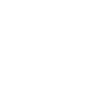 Integrated Circuits (ICs)