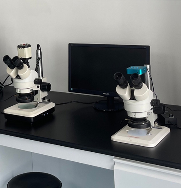 External Visual Inspection