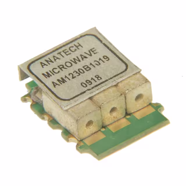 AM1230B1019