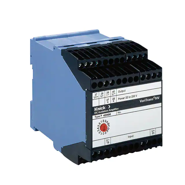 P42001D3 Knick