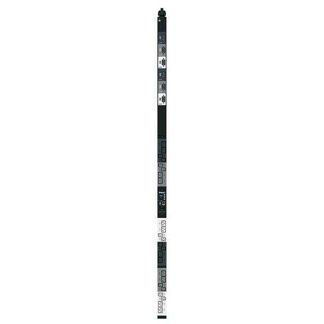 P24D43M