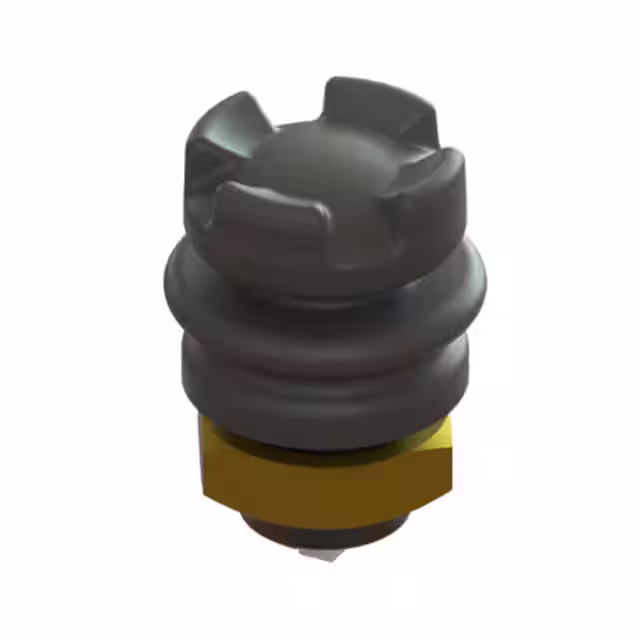 TS2-1-S-T-1-C-BK Ruffy Controls Inc.