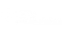 Luminary Micro Division of Texas Instruments electronic components manufacturer