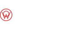 Ole Wolff Electronics Inc. electronic components manufacturer