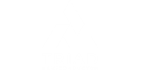 Triad Semiconductor, Inc. electronic components manufacturer